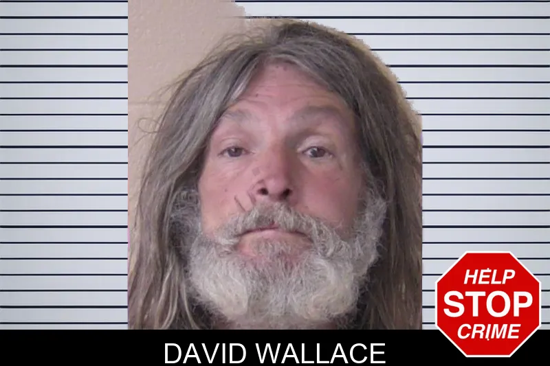 David Wallace Mugshots