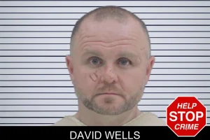David Wells mugshot