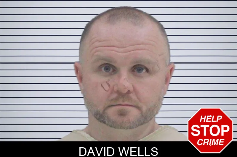 David Wells Mugshots