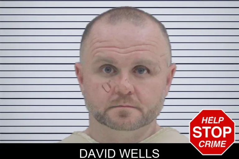 David Wells