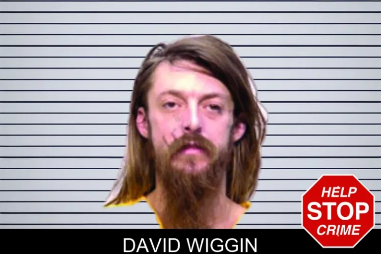 David Wiggin mugshot – Bartow County , Georgia David Wiggin