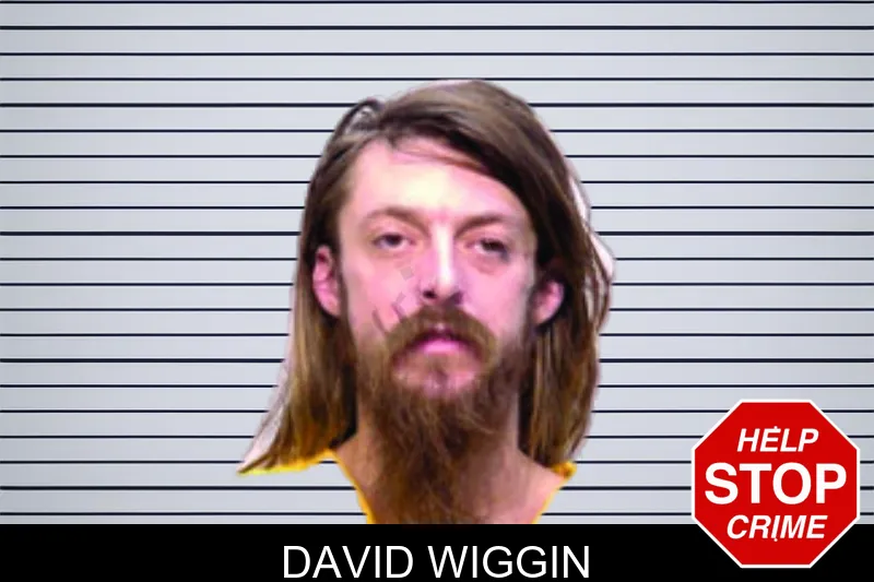 David Wiggin mugshot