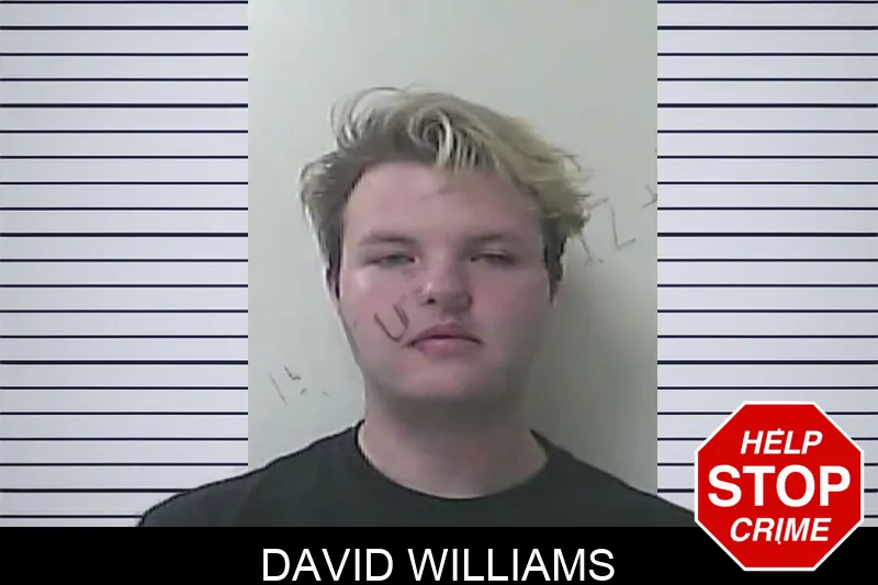 David Williams Mugshots