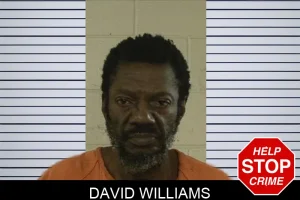 David Williams mugshot