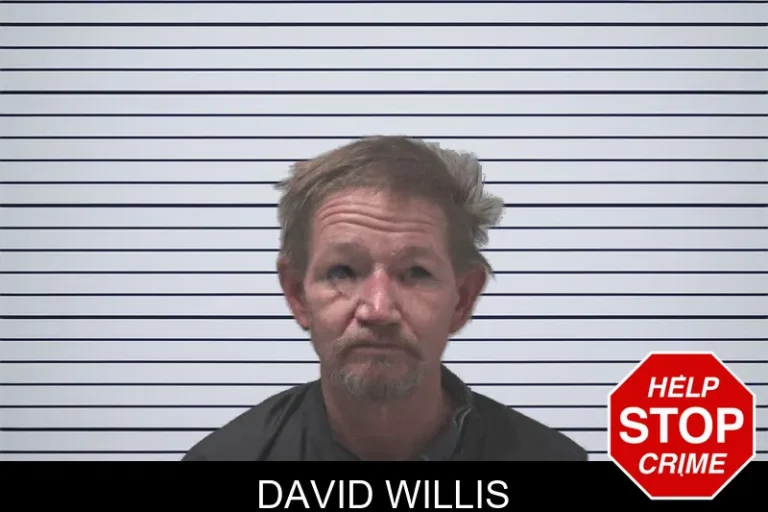 David Willis