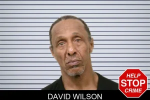 David Wilson mugshot