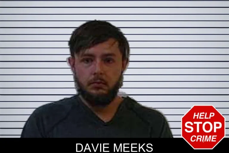 Davie Meeks