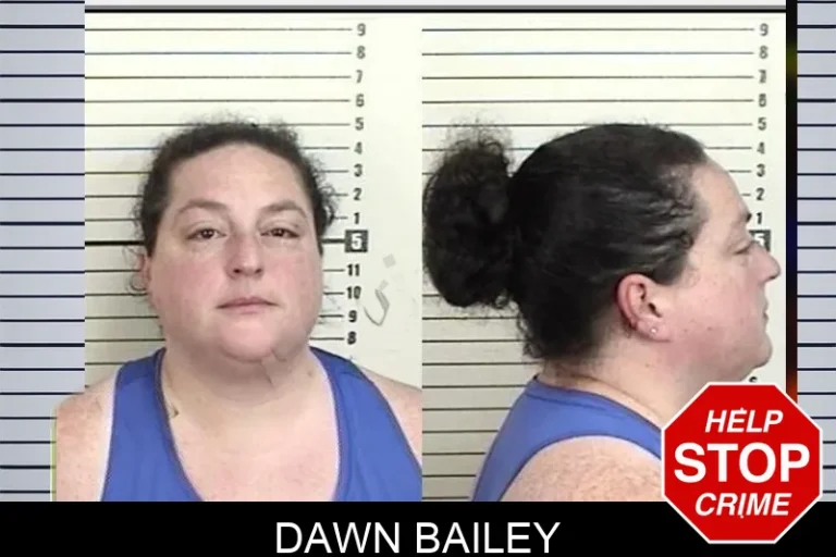 Dawn Bailey