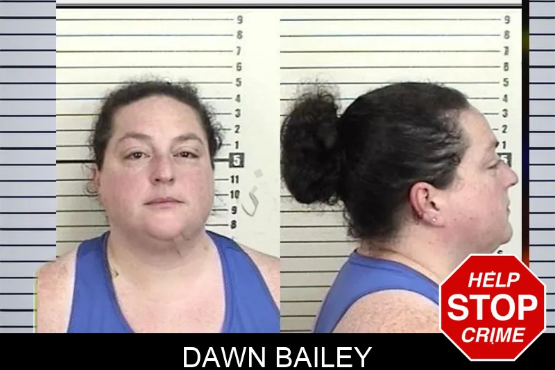 Dawn Bailey Mugshots