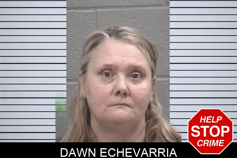 Dawn Echevarria Mugshots