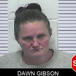 Dawn Gibson Mugshots