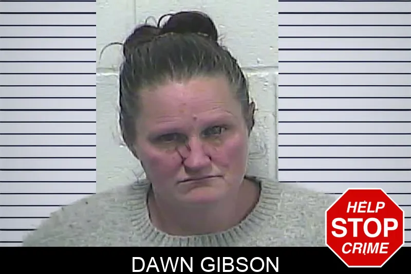 Dawn Gibson Mugshots