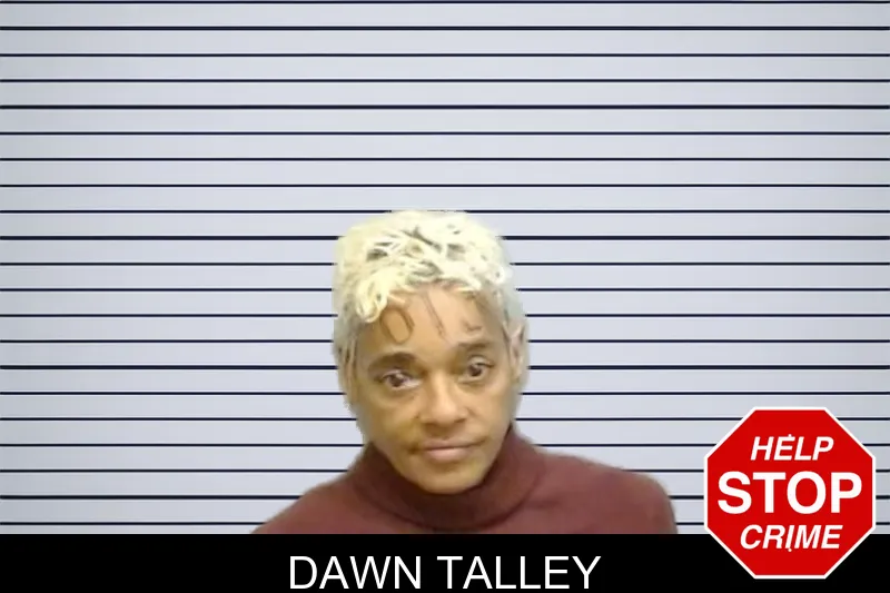 Dawn Talley mugshot