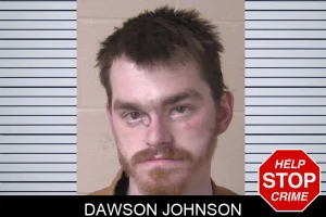 Dawson Johnson mugshot