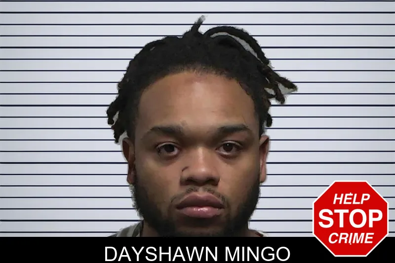 Dayshawn Mingo Mugshots