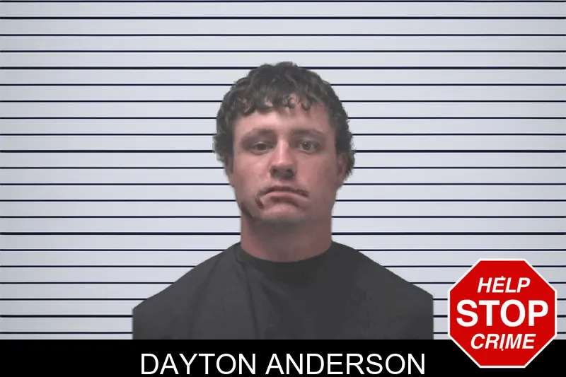 Dayton Anderson Mugshots