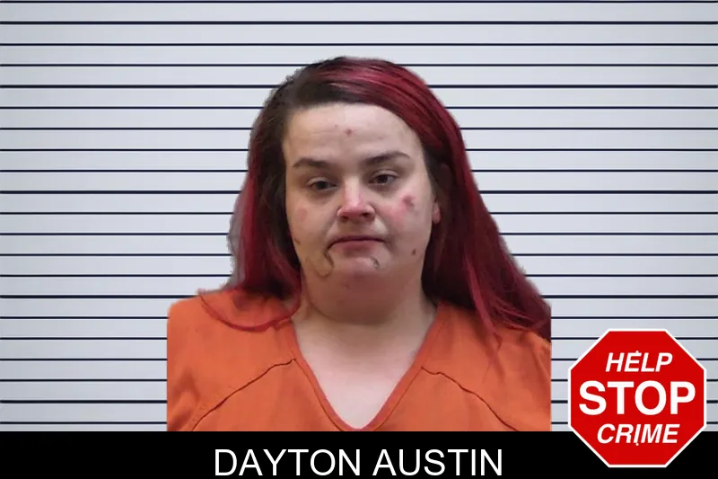 Dayton Austin mugshot