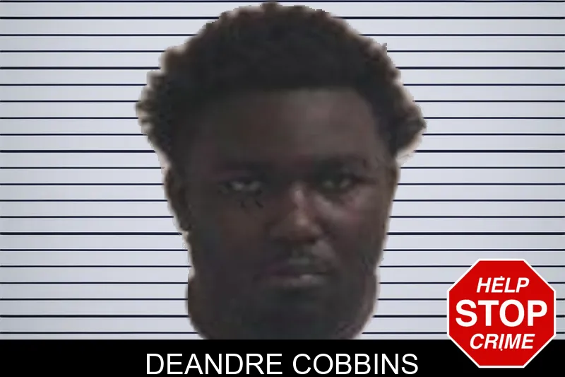 Deandre Cobbins mugshot – Henry County , Georgia Deandre Cobbins mugshot