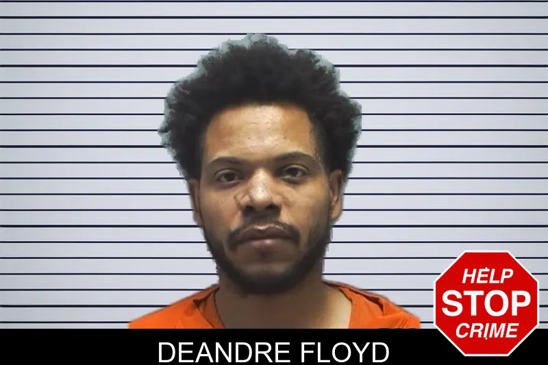 Deandre Floyd mugshot – Cherokee County , Georgia Deandre Floyd mugshot