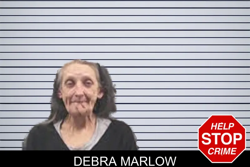 Debra Marlow mugshot