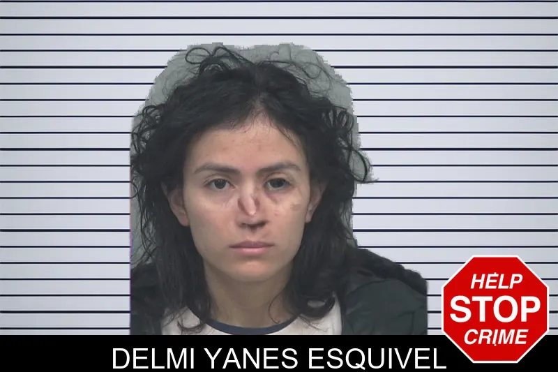 Delmi Yanes Esquivel Mugshots
