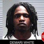 Demari White Mugshots