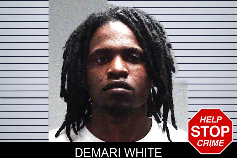Demari White Mugshots