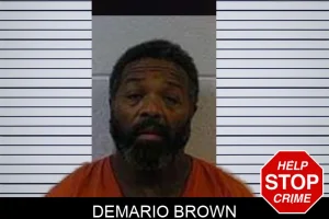 Demario Brown mugshot
