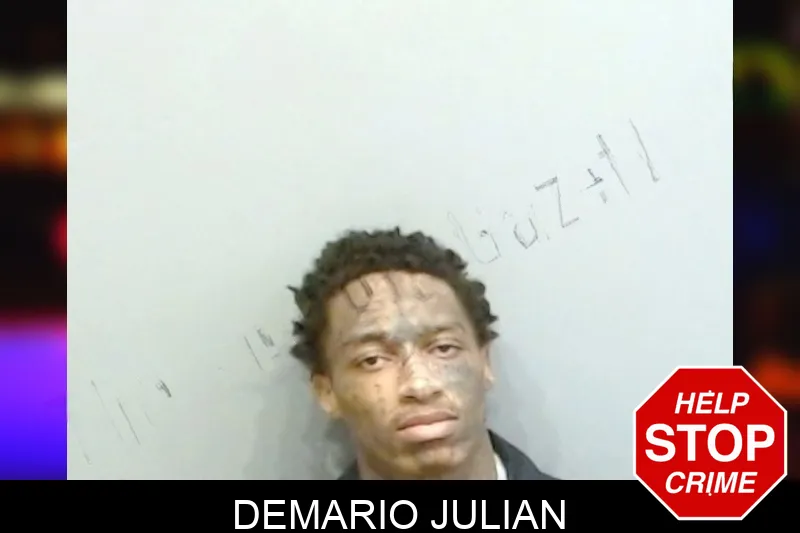 Demario Julian Mugshots