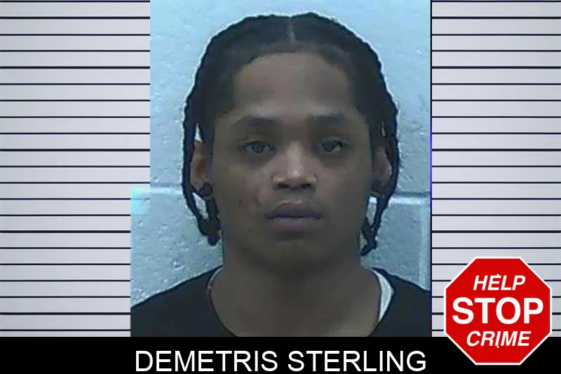 Demetris Sterling Mugshots
