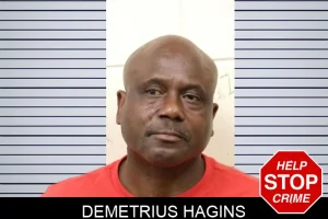 Demetrius Hagins mugshot