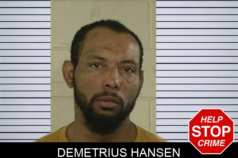 Demetrius Hansen Mugshots