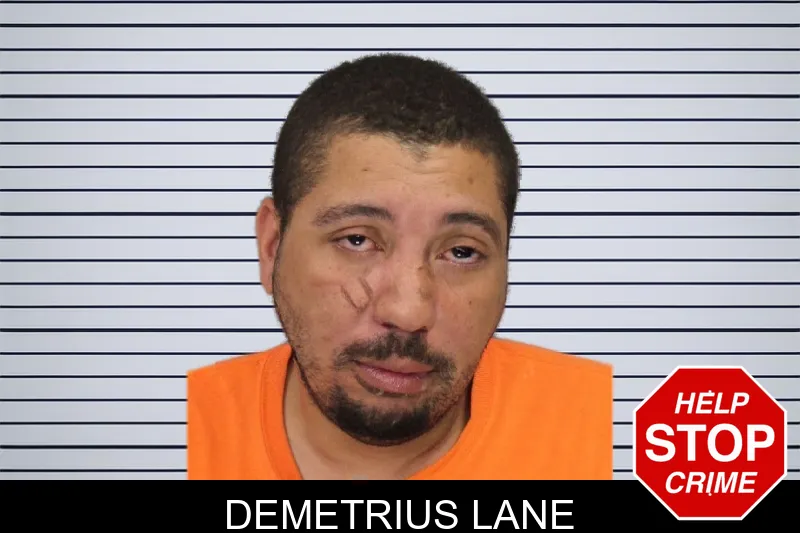 Demetrius Lane mugshot