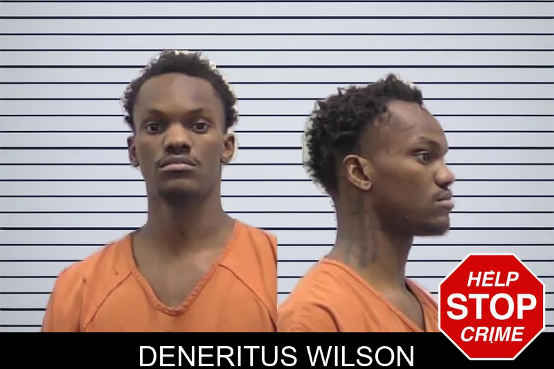 Deneritus Wilson Mugshots