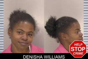 Denisha Williams mugshot