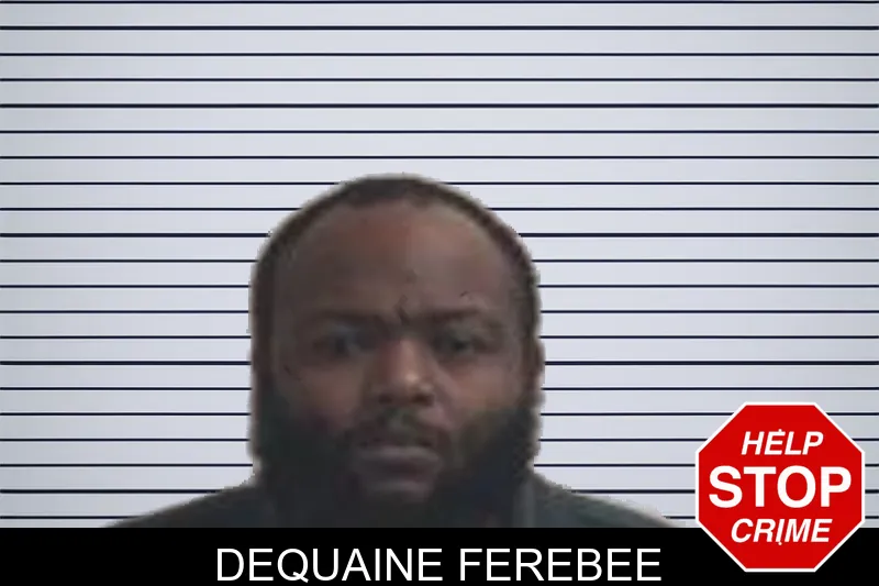 Dequaine Ferebee mugshot – Henry County , Georgia Dequaine Ferebee mugshot