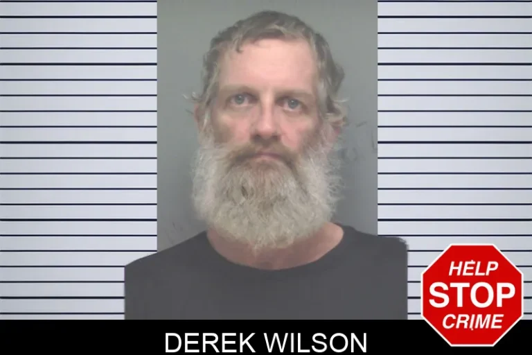 Derek Wilson