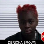 Dericka Brown Mugshots