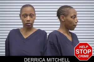 Derrica Mitchell mugshot