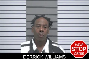 Derrick Williams mugshot