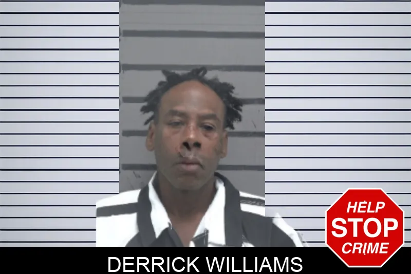 Derrick Williams mugshot