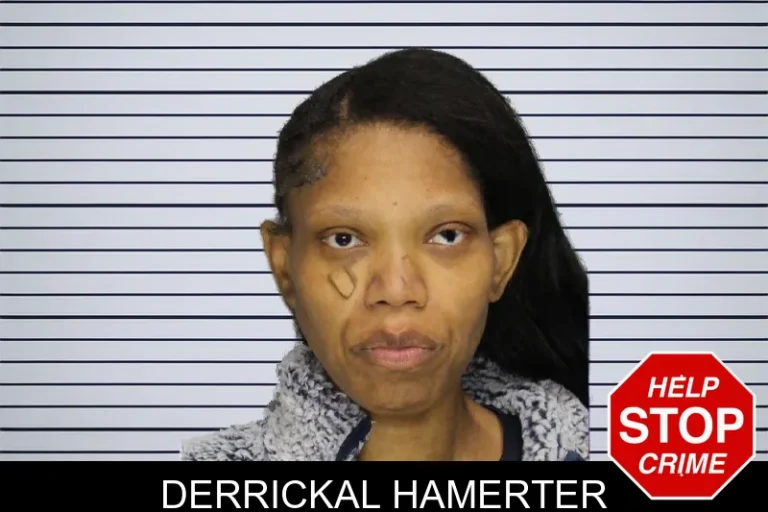 Derrickal Hamerter mugshot – Cobb County , Georgia Derrickal Hamerter