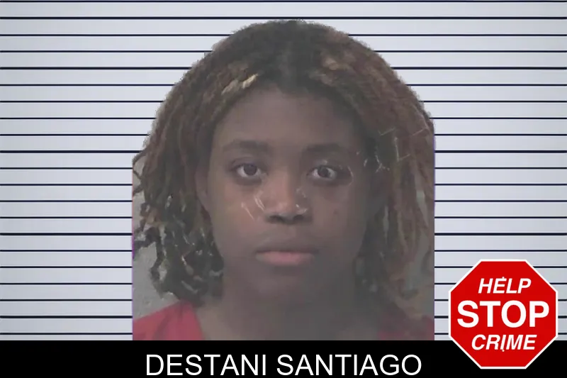 Destani Santiago mugshot