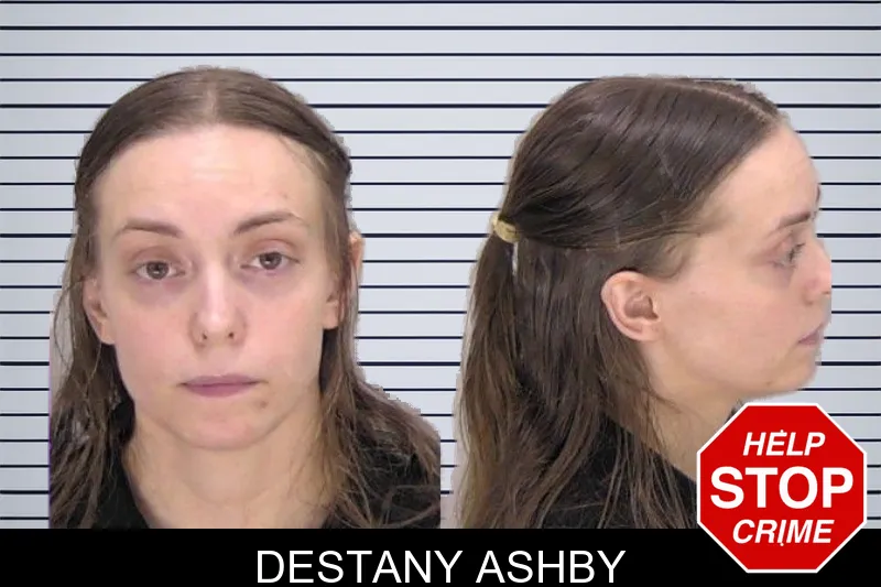 Destany Ashby Mugshots