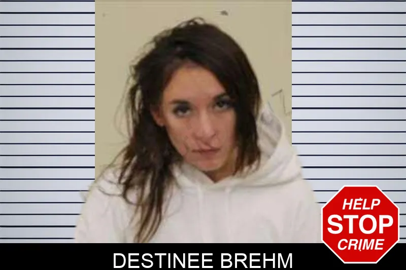 Destinee Brehm Mugshots