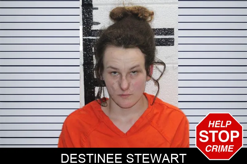 Destinee Stewart Mugshots
