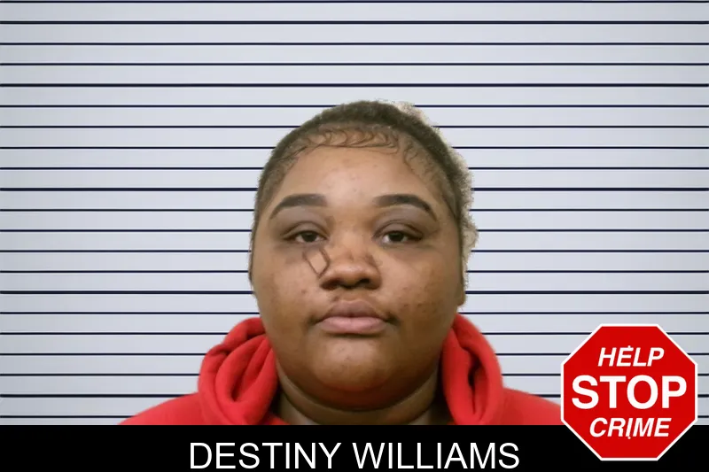 Destiny Williams mugshot