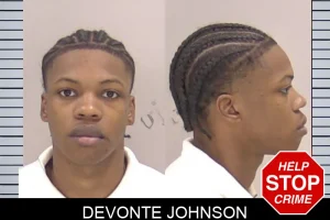 Devonte Johnson mugshot