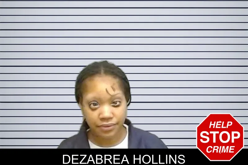 Dezabrea Hollins mugshot