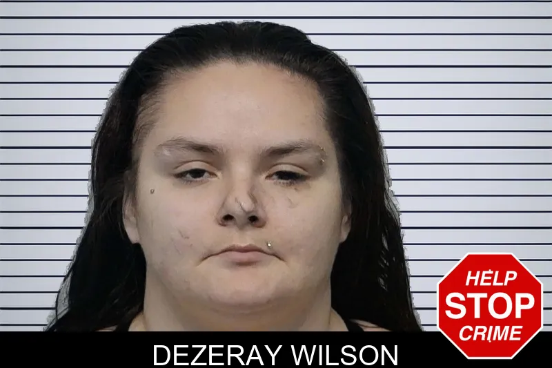 Dezeray Wilson Mugshots